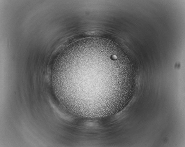 X0000113090175200909111036