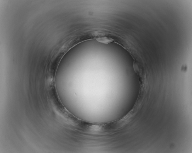 X0000113090176200909111036