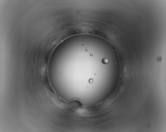 X0000113090177200909111036