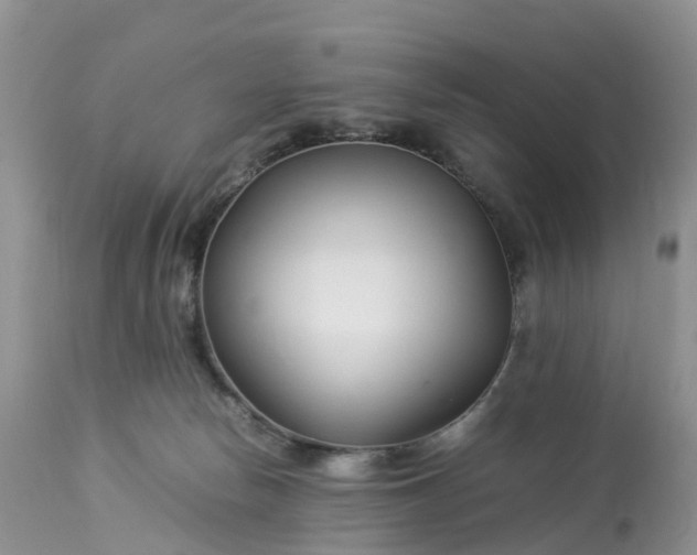 X0000113090178200909111036