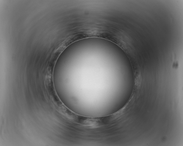 X0000113090179200909111036