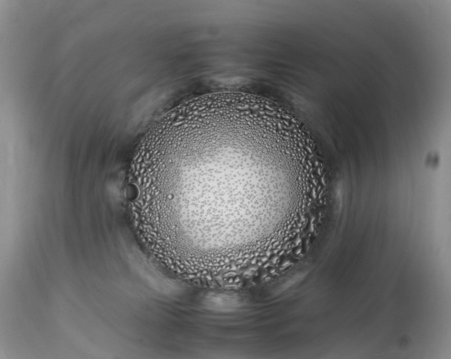 X0000113090181200909111036
