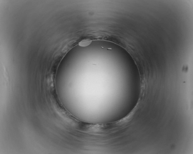 X0000113090182200909111036