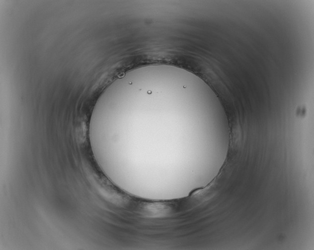 X0000113090183200909111036