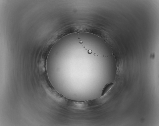 X0000113090187200909111036
