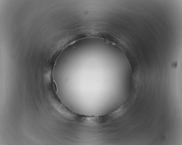 X0000113090188200909111036