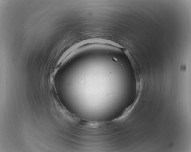 X0000113090190200909111036