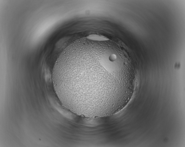 X0000113090191200909111036