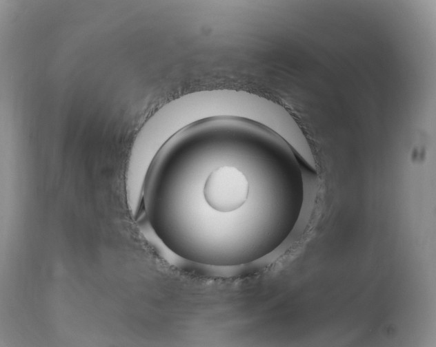 X0000113090192200909111036