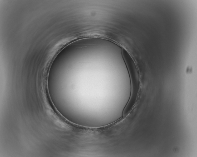 X0000113090193200909111035