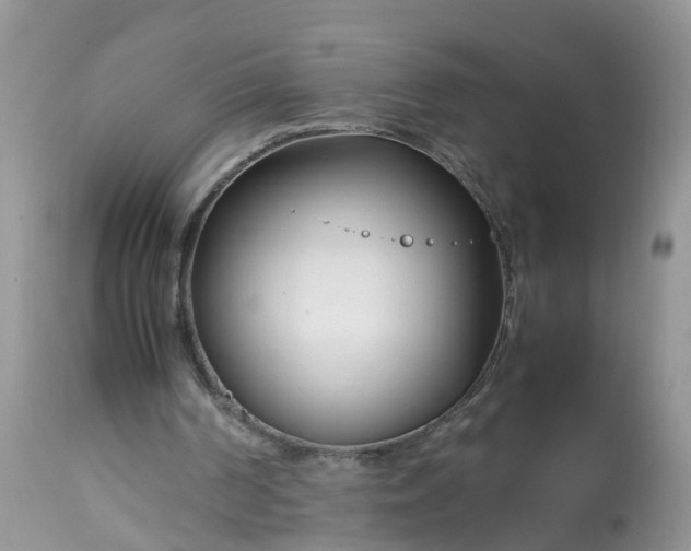 X0000113090194200909111035