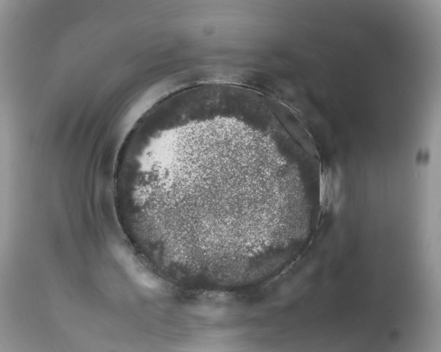 X0000113090195200909111035