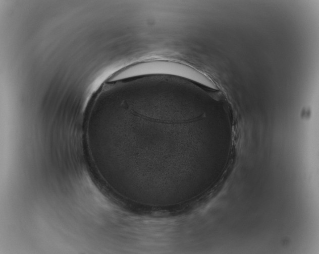 X0000113090196200909111035