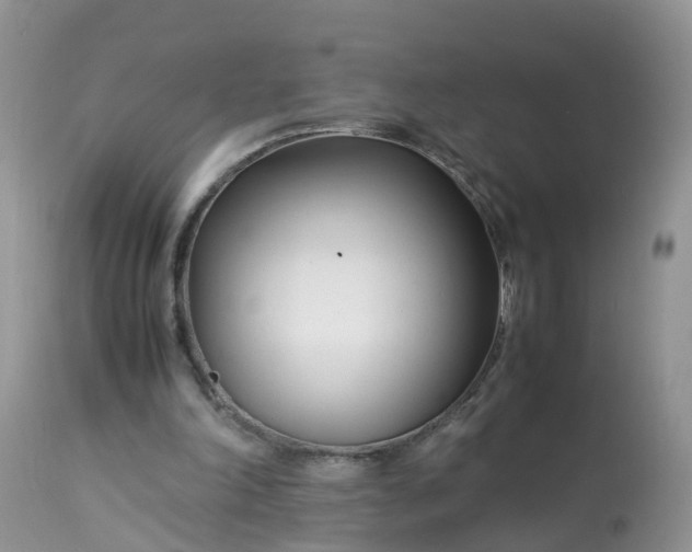 X0000113090198200909111035