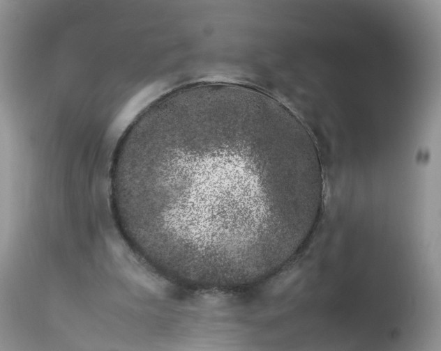 X0000113090199200909111035