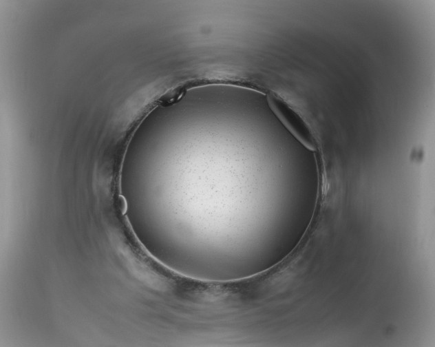 X0000113090201200909111035