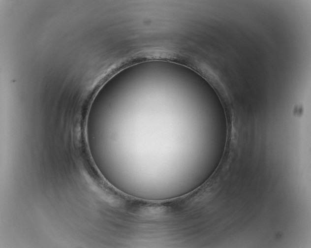 X0000113090202200909111035