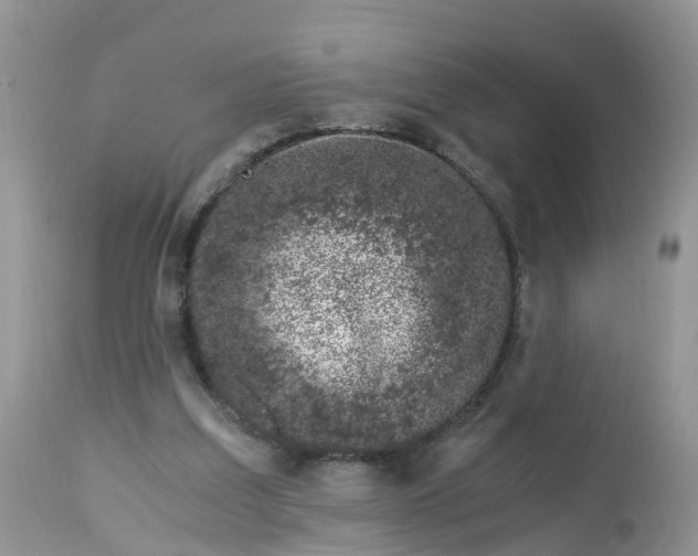 X0000113090203200909111035
