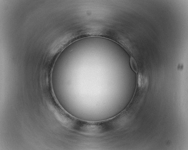 X0000113090205200909111035