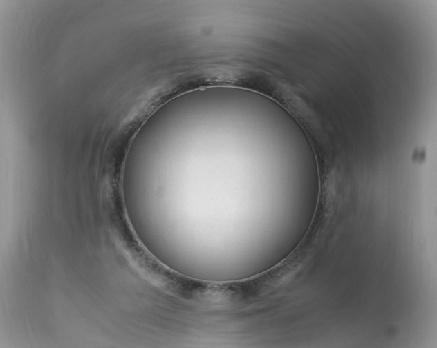 X0000113090209200909111035
