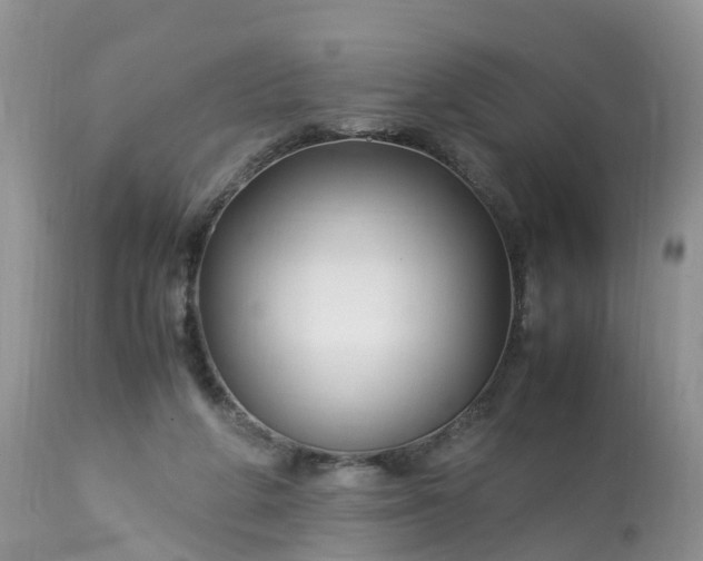 X0000113090210200909111035