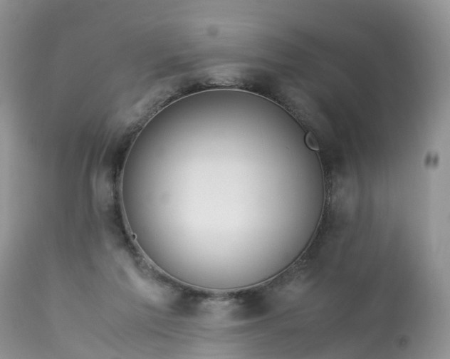 X0000113090213200909111035