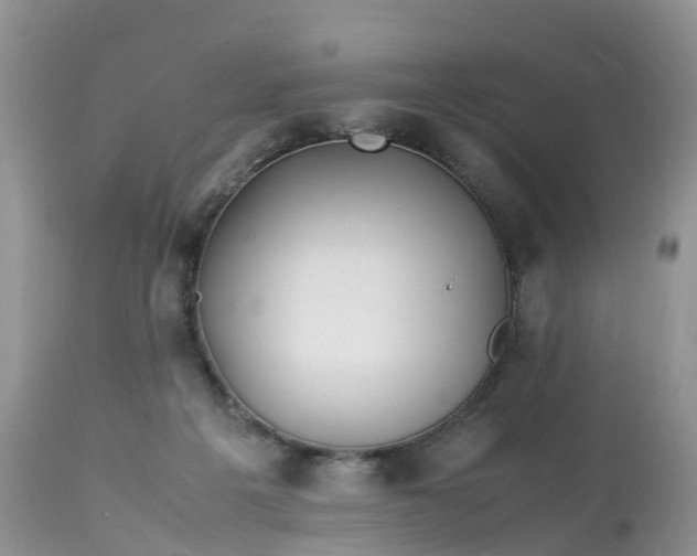 X0000113090217200909111035