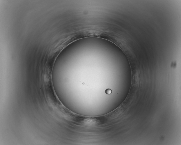 X0000113090218200909111035