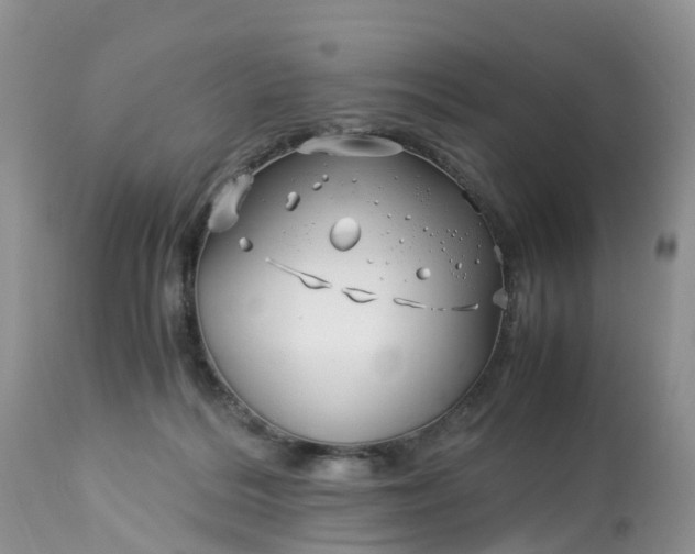 X0000113090220200909111035