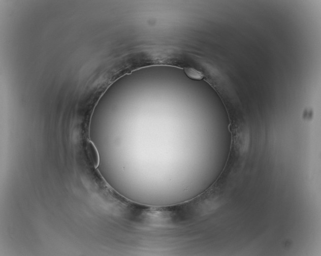 X0000113090221200909111035