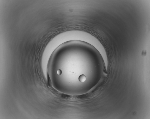 X0000113090223200909111035