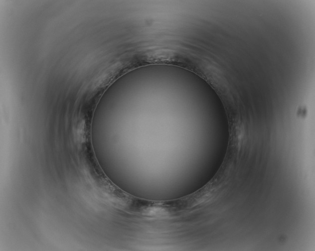 X0000113090224200909111035