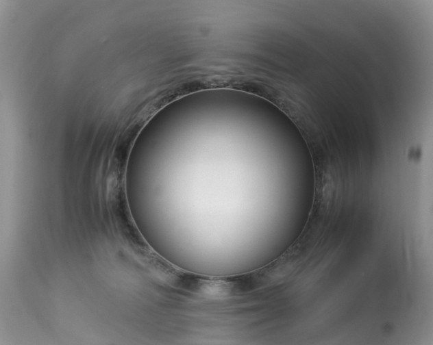 X0000113090226200909111035