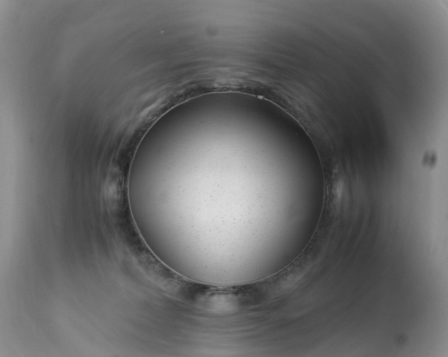 X0000113090228200909111035