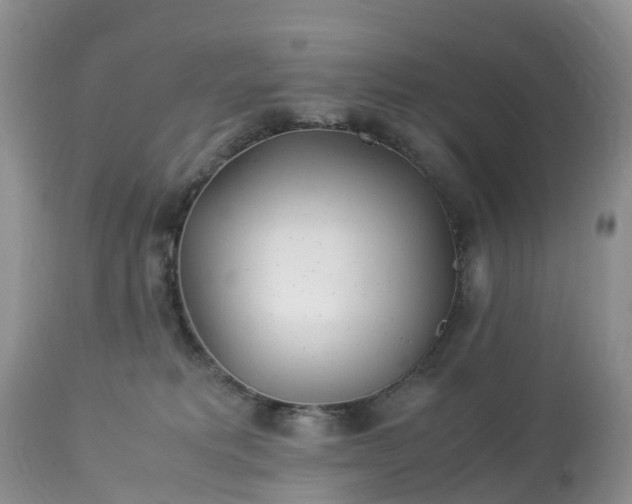 X0000113090229200909111035
