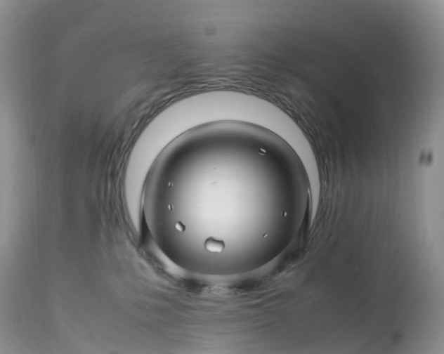 X0000113090231200909111035