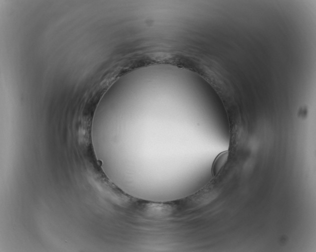 X0000113090234200909111035
