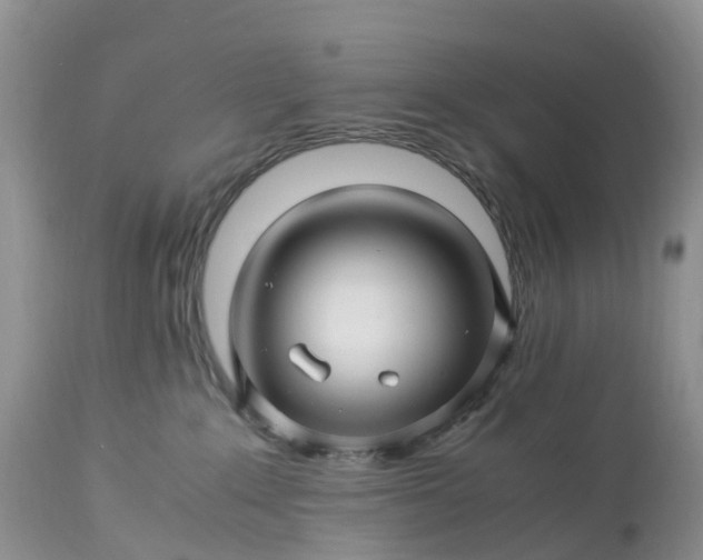 X0000113090235200909111035