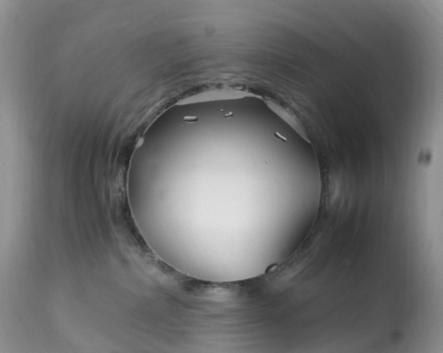 X0000113090236200909111035