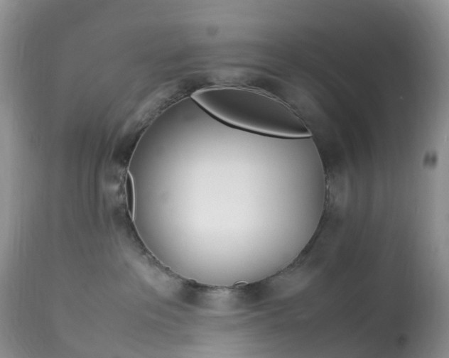 X0000113090237200909111035