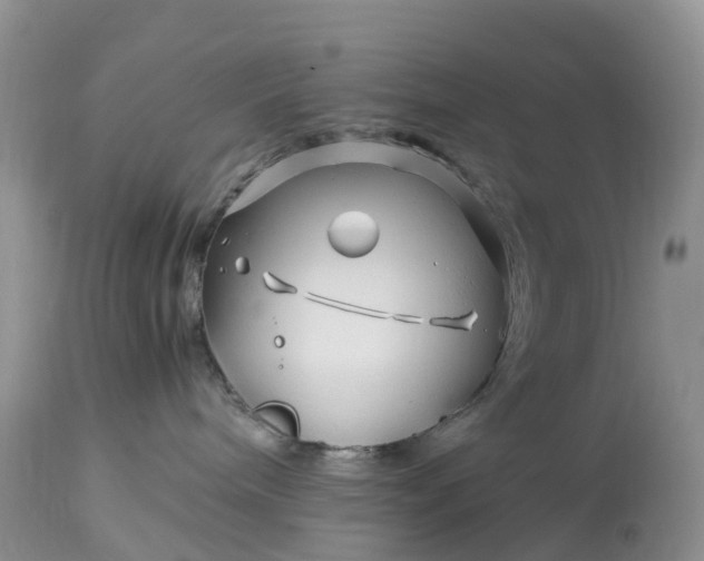 X0000113090240200909111035
