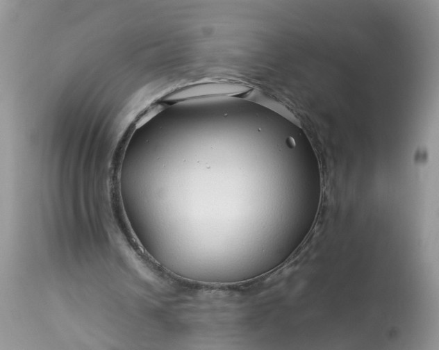 X0000113090242200909111034