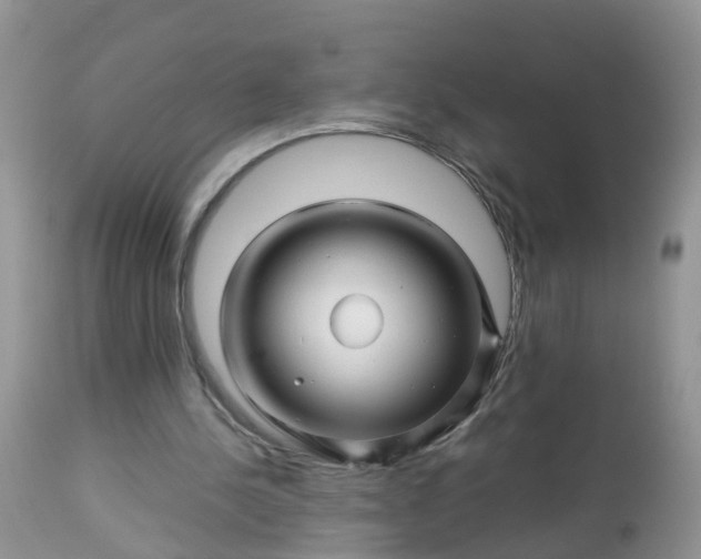 X0000113090244200909111034