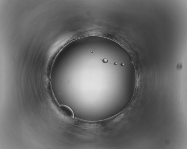 X0000113090245200909111034