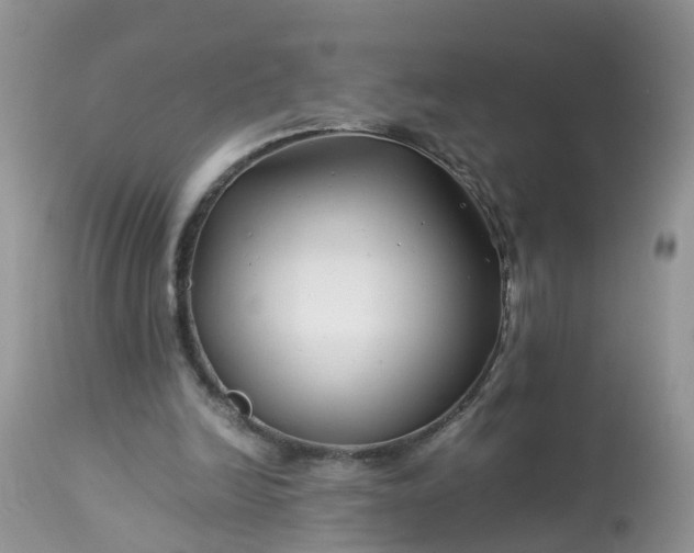 X0000113090246200909111034