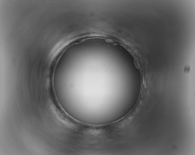 X0000113090247200909111034