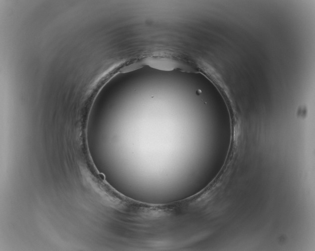 X0000113090249200909111034