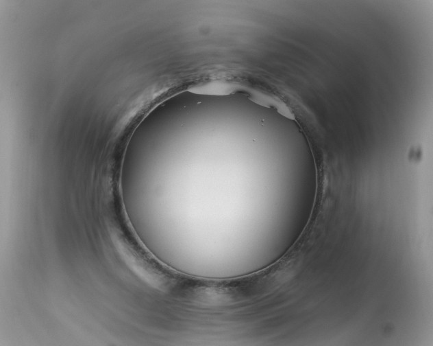 X0000113090250200909111034