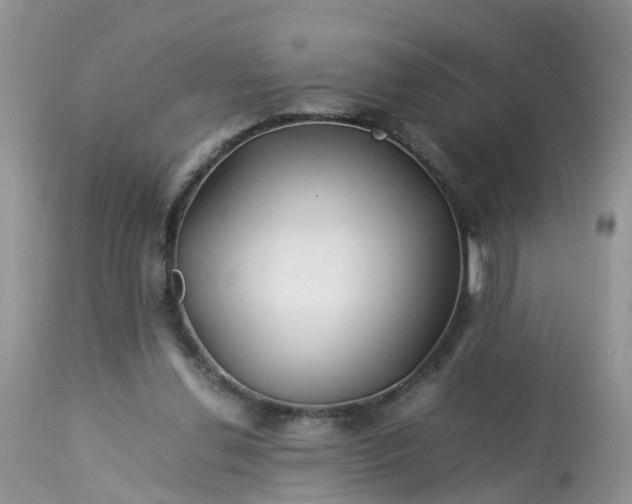 X0000113090252200909111034
