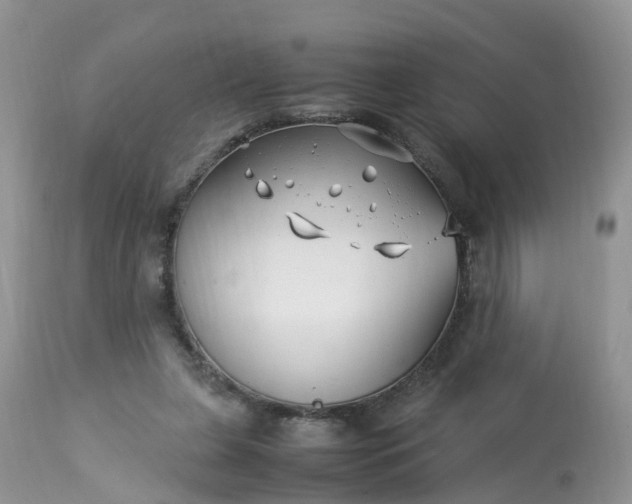 X0000113090255200909111034